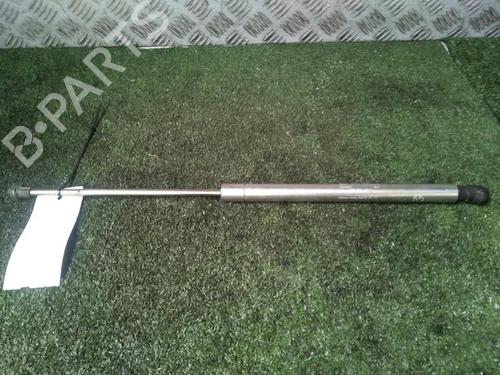 Tailgate lift support VW GOLF IV (1J1) 1.9 TDI | BP29951438C138 