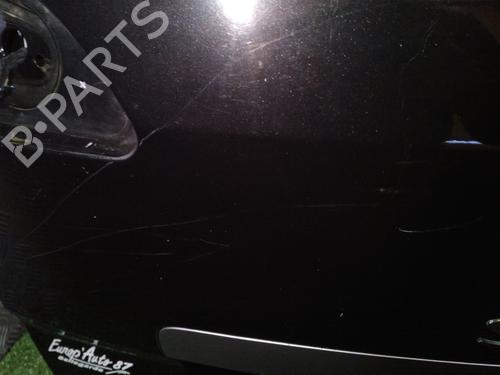 Tailgate RENAULT SCÉNIC III (JZ0/1_) 1.5 dCi | BP29950605C6 