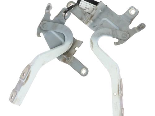 Used Hinge/Door check strap RENAULT CLIO IV (BH_) 1.5 dCi 75 (75 hp) 31991602