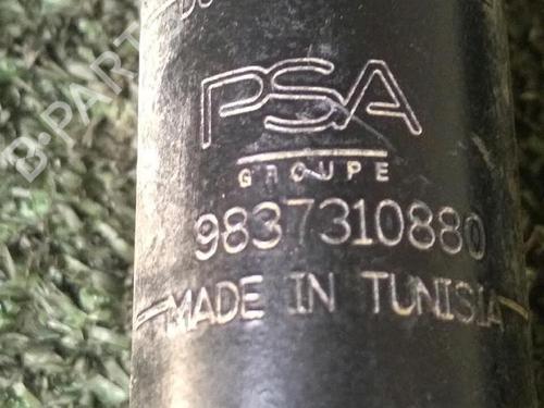 Left rear shock absorber CITROËN AMI (9A_) Electric (9AZ2CA) | BP37731690M18 - Image 4