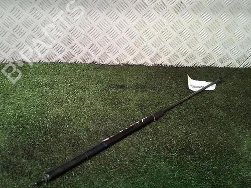 Hood lift support RENAULT MEGANE III Hatchback (BZ0/1_, B3_) 1.5 dCi (BZ1G, BZ1W, BZ0R) | BP30069512C139