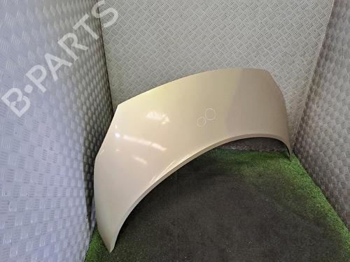 Hood RENAULT SCÉNIC II (JM0/1_) 1.5 dCi (JM1E, JM16) | BP20507515C1 