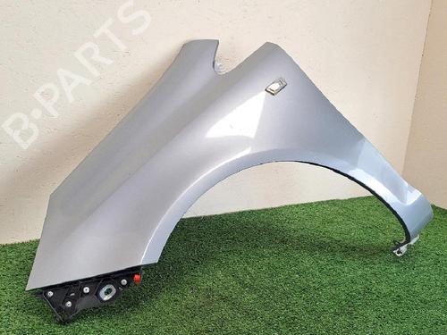 Left front fenders OPEL CORSA D (S07) 1.3 CDTI (L08, L68) | BP24534620C41 