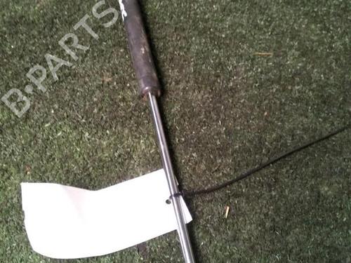 Tailgate lift support RENAULT CLIO II (BB_, CB_) 1.2 (BB0A, BB0F, BB10, BB1K, BB28, BB2D, BB2H, CB0A,... | BP29951589C138