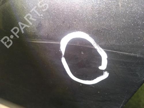 Left front door RENAULT MEGANE II (BM0/1_, CM0/1_) 1.6 16V | BP19417215C2 
