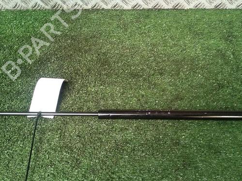 Tailgate lift support CITROËN C3 Picasso (SH_) 1.6 HDi | BP30074226C138