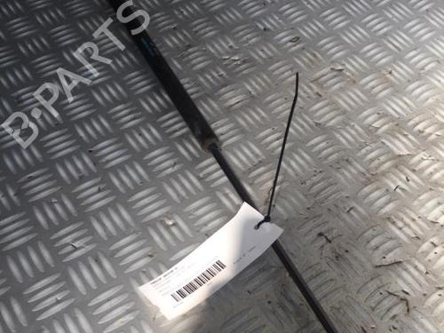 Tailgate lift support CITROËN C4 Picasso I MPV (UD_) 1.6 HDi | BP29951273C138