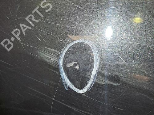 Used Left rear door RENAULT CLIO III (BR0/1, CR0/1) 1.5 dCi (C/BR0G, C/BR1G) (68 hp) 30063489