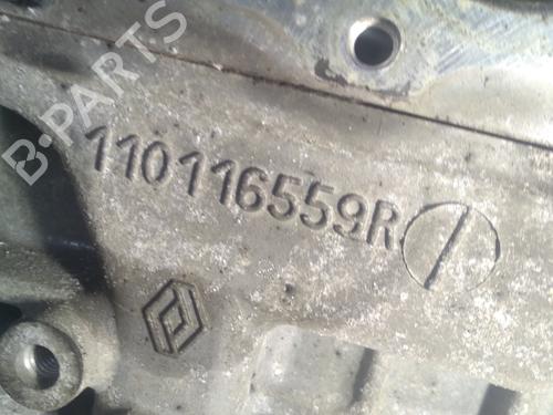 Motor RENAULT TWINGO III (BCM_, BCA_) 1.0 SCe 70 (BCMB) | BP31909140M1 