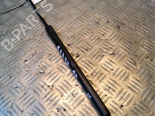 Gassdemper Bakluke CITROËN C3 Picasso (SH_) 1.2 THP 110 (SHHNZ6) (110 hp) 17162947