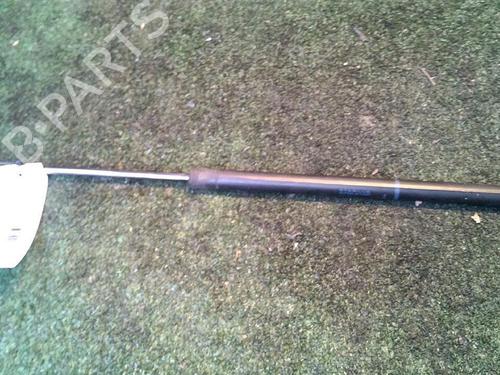 Tailgate lift support RENAULT SCÉNIC II (JM0/1_) 1.5 dCi (JM1E, JM16) | BP30073294C138