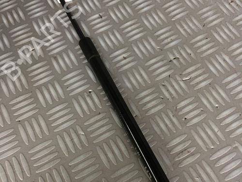 Tailgate lift support KIA RIO III (UB) 1.1 CRDi | BP29951230C138 