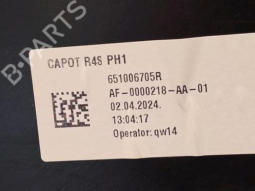 hood-renault-twingo-iii-bcm_-bca_-2014-30065538 main image