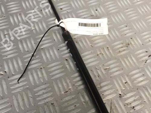 tailgate-lift-support-fiat-punto-evo-199_-2008-30069118 main image