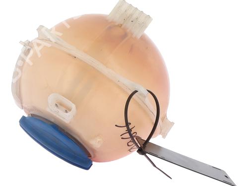 Expansion tank SEAT IBIZA IV ST (6J8, 6P8) 1.6 TDI | BP30931525C120