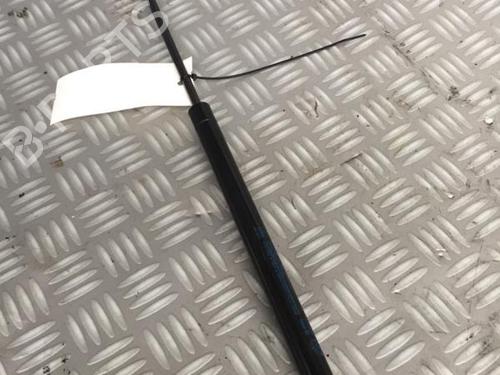 tailgate-lift-support-fiat-panda-169_-2003-30072689 main image