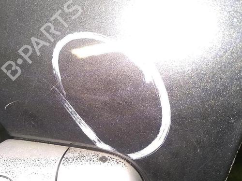Left front door RENAULT MEGANE II (BM0/1_, CM0/1_) 1.6 16V | BP30076512C2