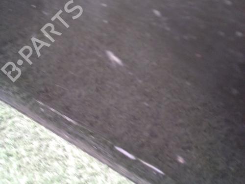 Right front door RENAULT CLIO III (BR0/1, CR0/1) 1.2 16V Hi-Flex (BR1U, CR1U) | BP32093307C3 