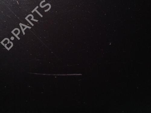 Tailgate RENAULT SCÉNIC III (JZ0/1_) 1.5 dCi | BP29950605C6 