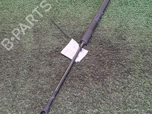 Tailgate lift support CITROËN C3 III (SX) 1.2 THP 110 (SXHNPS, SXHNZT, SXHNZ6) | BP29948683C138 