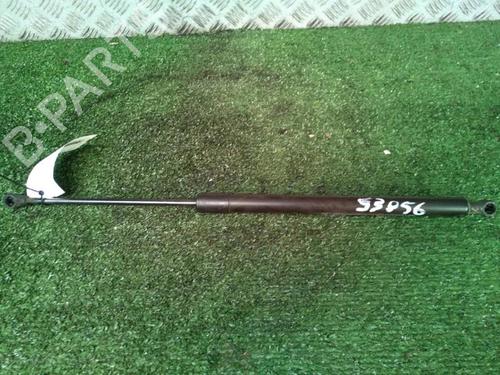 Tailgate lift support RENAULT SCÉNIC III (JZ0/1_) 1.5 dCi | BP30073795C138