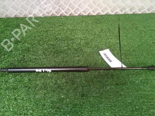 Tailgate lift support CITROËN C3 Picasso (SH_) 1.6 BlueHDi 100 | BP29951670C138 