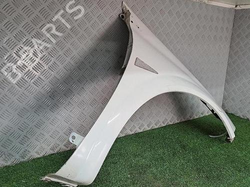 Right front fenders RENAULT MEGANE II (BM0/1_, CM0/1_) 1.5 dCi (BM02, BM13, BM2A, CM02, CM13) | BP30076874C42 