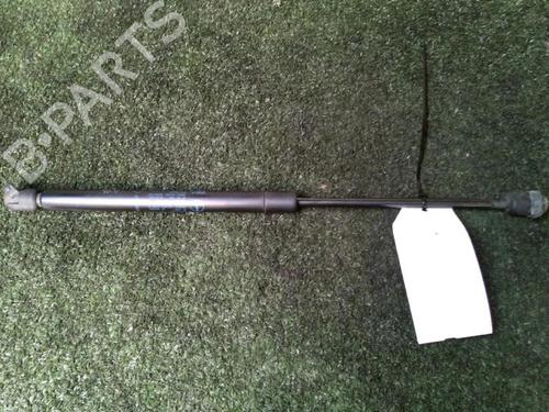 Used Tailgate lift support Tailgate lift support RENAULT CLIO II (BB_, CB_) 1.5 dCi (B/CB07) (65 hp) 30073313 30073313
