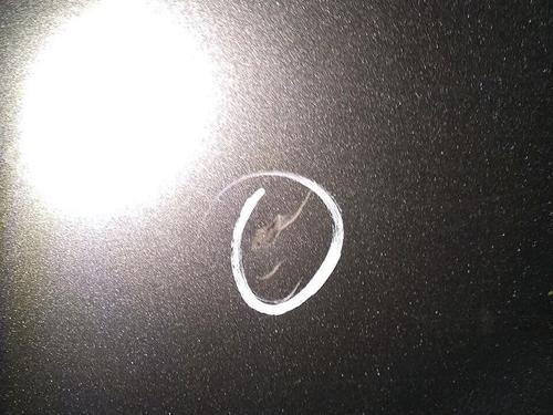 Left rear door JEEP GRAND CHEROKEE III (WH, WK) 3.0 CRD 4x4 | BP29951787C4 