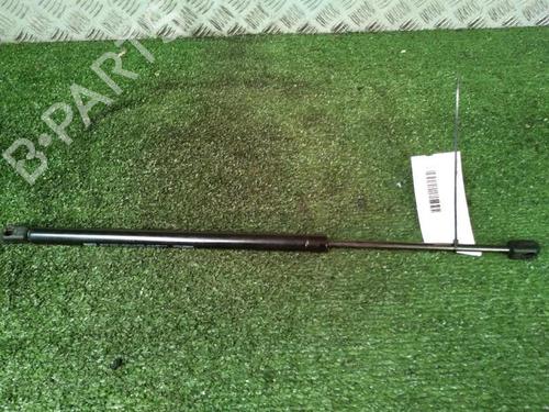 Tailgate lift support RENAULT SCÉNIC II (JM0/1_) 1.5 dCi (JM1E, JM16) | BP30073819C138 