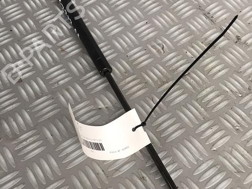 Used Tailgate lift support FIAT PANDA (169_) 1.2 (169AXF2A, 169AXF1A) (69 hp) 30072688