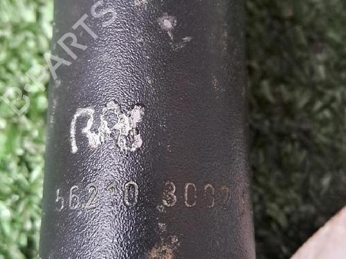 Left rear shock absorber RENAULT CLIO V (B7_) 1.0 SCe 75 (B7M5) | BP29953250M18