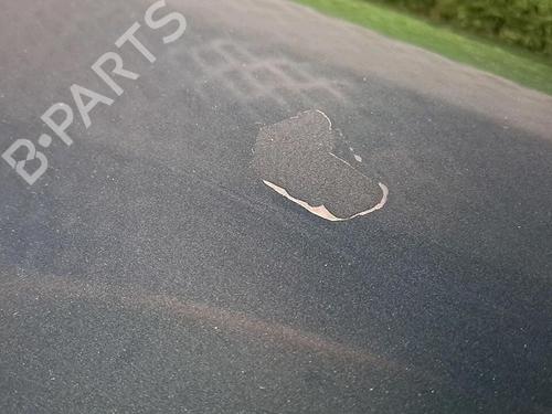 Forkjerm høyre VW GOLF IV (1J1) 1.9 TDI | BP30076638C42 