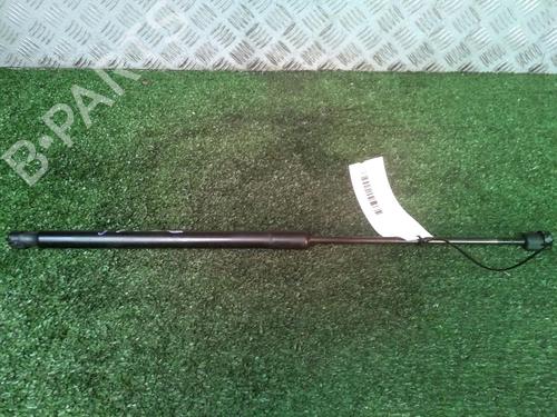 Used Tailgate lift support FORD FIESTA VI (CB1, CCN) 1.6 TDCi (95 hp) 17161735