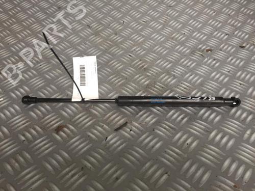 tailgate-lift-support-renault-twingo-ii-cn0_-2007-29952323 main image