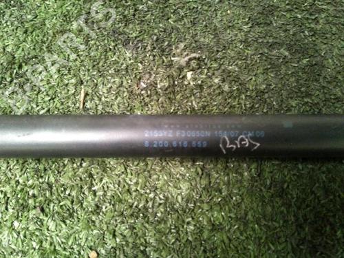 Tailgate lift support RENAULT SCÉNIC II (JM0/1_) 1.5 dCi (JM1E, JM16) | BP30073294C138