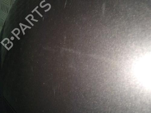 Hood PEUGEOT EXPERT Tepee (VF3X_) 2.0 HDi 120 | BP30302728C1