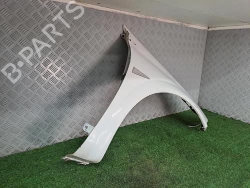 Right front fenders RENAULT MEGANE II (BM0/1_, CM0/1_) 1.5 dCi (BM02, BM13, BM2A, CM02, CM13) | BP20507551C42 