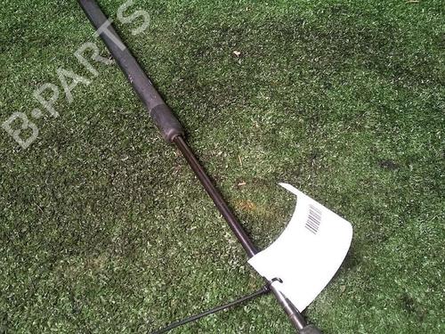 Tailgate lift support NISSAN MICRA III (K12) 1.5 dCi | BP29951202C138