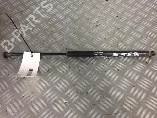 Used Tailgate lift support Tailgate lift support FIAT 500 (312_) 1.2 (312AXA1A) (69 hp) 30072448 30072448