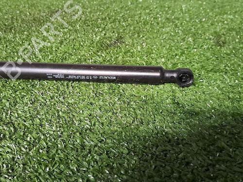 Tailgate lift support RENAULT TWINGO III (BCM_, BCA_) 0.9 TCe 95 | BP29953174C138