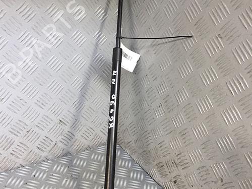 Used Tailgate lift support RENAULT GRAND SCÉNIC III (JZ0/1_) 1.6 dCi (JZ00, JZ12) (130 hp) 30072637