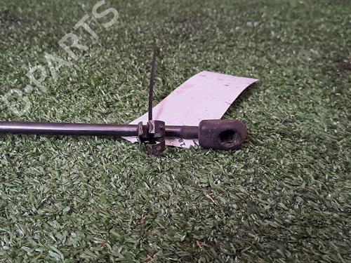 Tailgate lift support RENAULT MEGANE II (BM0/1_, CM0/1_) 1.9 dCi | BP29953145C138