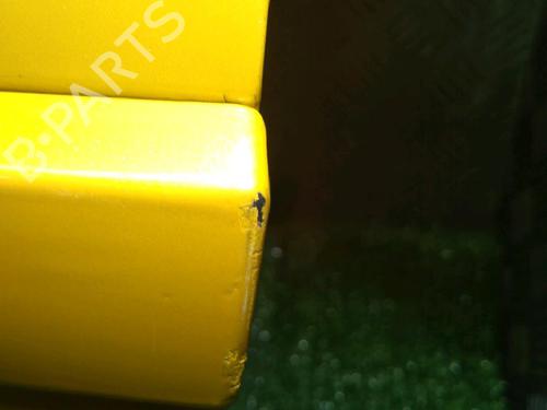 Left front door RENAULT MEGANE II (BM0/1_, CM0/1_) 2.0 Renault Sport | BP24945245C2 