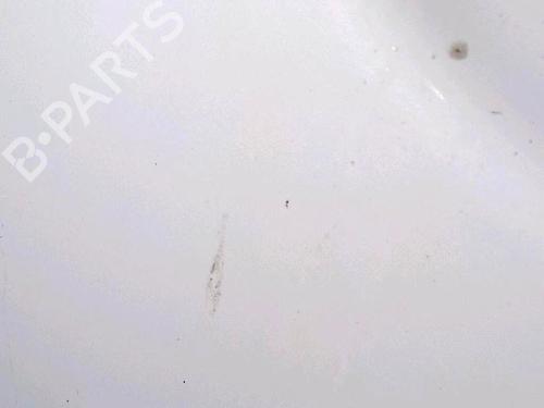 Used Right front door RENAULT KANGOO Express (FC0/1_) D 55 1.9 (FC0D) (54 hp) 30064439