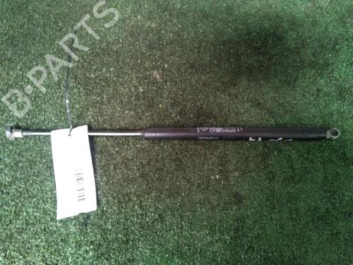 tailgate-lift-support-fiat-500-312_-2007-30073240 main image