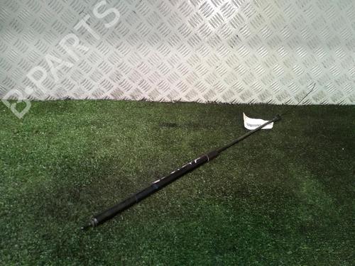 Used Hood lift support RENAULT MEGANE III Hatchback (BZ0/1_, B3_) 1.5 dCi (BZ1G, BZ1W, BZ0R) (95 hp) 14546048