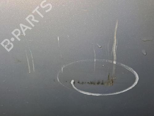 Left rear door CITROËN XSARA PICASSO (N68) 2.0 HDi | BP22401036C4 