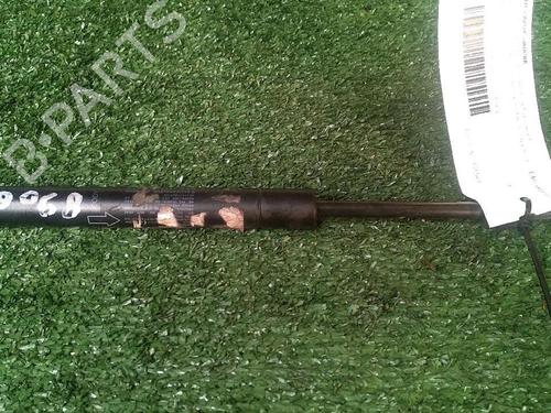 Amortecedor do capot LAND ROVER RANGE ROVER EVOQUE (L538) 2.2 D 4x4 (150 hp) 29951662