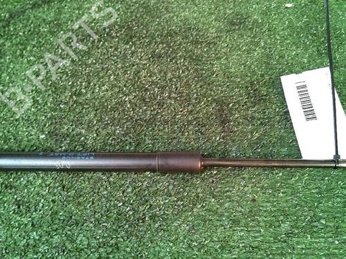 Gassdemper Bakluke RENAULT TWINGO II (CN0_) 1.5 dCi (CN0E) | BP30073789C138